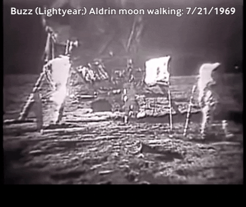 spsweeney91 giphygifmaker GIF