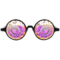 Glasses Sticker by Ryerson FCAD