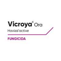 Vicroya Sticker by Cortevapy
