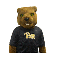 College Sports Panthers Sticker by College Colors Day