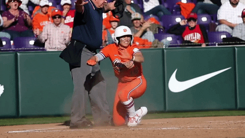 Go Tigers Slide GIF by Clemson Tigers