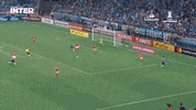 Libertadores Da America Colorado GIF by Sport Club Internacional