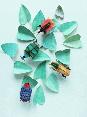 GIF by MinipiacMinimag