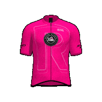 No Limits Pink Sticker by ReinosaNoLimits
