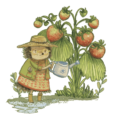 Grandma Hedgehog Sticker by Tundra