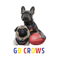 French Bulldog Football Sticker by Morty The Pug