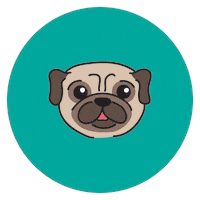mortythepug pug frenchie french bulldog morty the pug Sticker