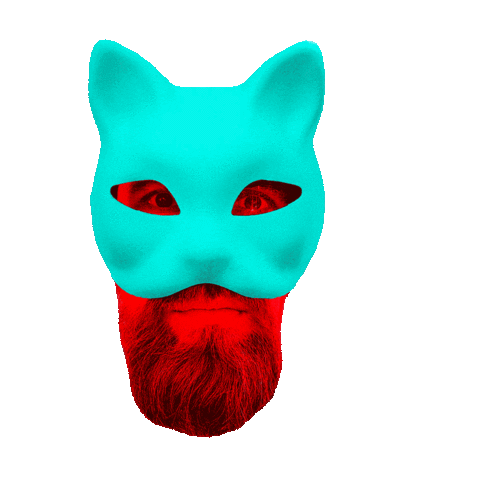aqdenostre giphyupload cat confused beard Sticker
