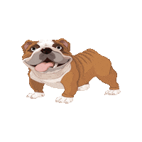 Yuma Pioxii Sticker by Colegio Pío XII