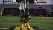 GIF by WVU Sports