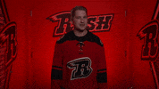 Comeon GIF by Rapid City Rush
