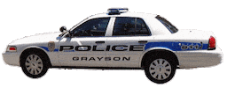 police Sticker