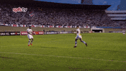 spfc GIF by São Paulo FC