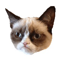 grumpy cat no STICKER by imoji