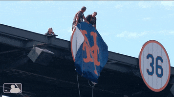 Unveiling Keith Hernandez GIF by New York Mets