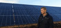 Angry Solar Panels GIF by Proven Energy