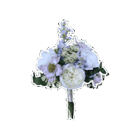 Wedding Flowers Sticker by Something Borrowed Blooms