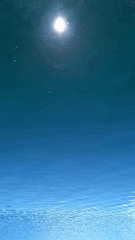 Simongip giphyupload GIF