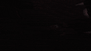 BonsaiCollective video games enemies black and red game environment GIF