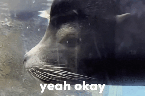 Hogle Zoo Side Eye GIF by Brook Dorff