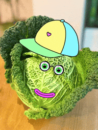Cabbage Wirsing GIF