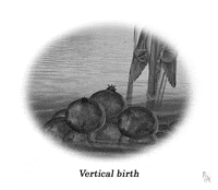 art artists on tumblr GIF by Colin Raff