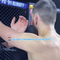 Sticker GIF