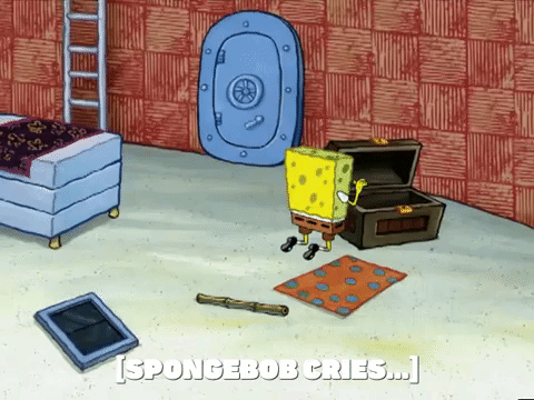 season 5 GIF by SpongeBob SquarePants