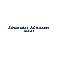 Academica Schools Sticker by Academica