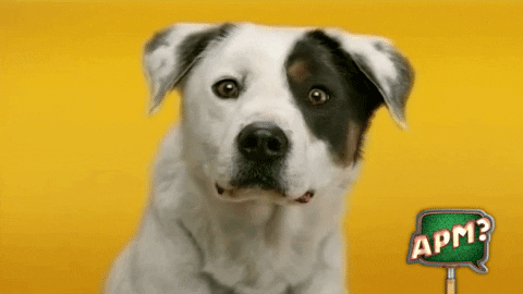 Dog Teeth GIF by Alguna Pregunta Més?