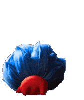 Bill Hader Cat Sticker by Warner Bros. Pictures