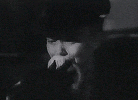 estoy martin milner GIF