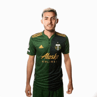 Portland Timbers Sport GIF by Timbers
