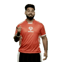 Game Win Sticker by Dream11