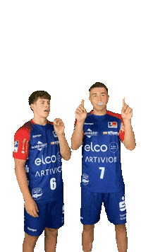 Party Handball Sticker by HBW