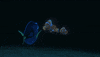 finding dory GIF by Disney/Pixar's Finding Dory