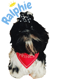 Prince Dog Sticker