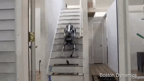 GIF by The Telegraph