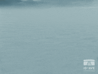 Confused Animated Movie GIF by 10e Ave Productions
