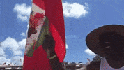 Bermuda Airhorn GIF by Bermemes