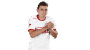 niklas hauptmann soccer Sticker by 1. FC Köln