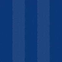 Football Soccer GIF by Odense Boldklub