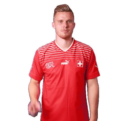 Nico Elvedi Link Sticker by Swiss Football Association
