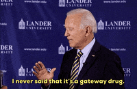 Joe Biden Marijuana GIF by Election 2020
