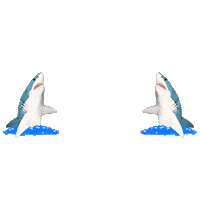 Party Fun Sticker by Shark Week