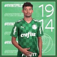 Gustavo Scarpa Soccer GIF by SE Palmeiras