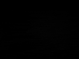 GIF by Beastarwithus