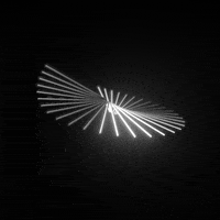 Relaxing Black And White GIF by xponentialdesign