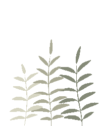 Illustration Drawing Sticker