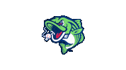 Sticker by Gwinnett Stripers